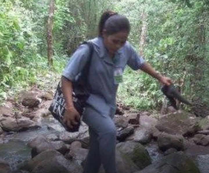Sungguh Mulia,Guru Honorer di Sikka NTT Rela Digaji Rp300 Ribu Sebulan demi Cerdaskan Anak Bangsa