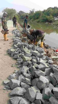 Proyek Turap di Pakuhaji Diduga Asal Jalan, Pekerja Minim APD, Pengawas Jarang Muncul