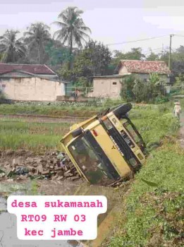 Mobil Dump Truck Engkel Bermuatan Paving Block Terjun Kesawah,Diduga Lepas Supir Kendali