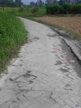 Di Kp Salimah, Jalan Rusak Tak Kunjung Diperbaiki — Warga Geram Terhadap Kades Sukamanah Darul