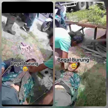 Viral Pria Diduga “Begal Burung” Diamankan Warga di Barito Kuala, Tukang Tambal Ban Menjadi Korban..?!