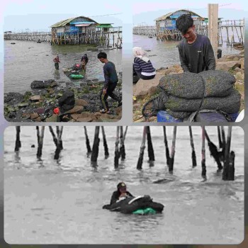 Nelayan Remis Bertaruh Nyawa di Laut Pesisir Mauk, Demi Bertahan Hidup Dan Secercah Harapan