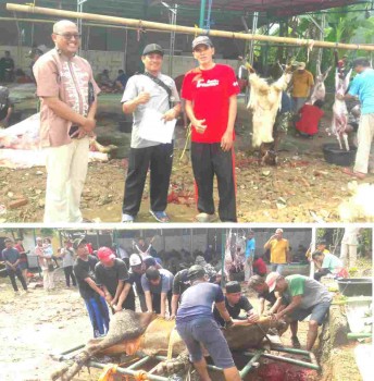 Panitia Pelaksana Qurban Masjid Jami Al- Zumhur RT 006/04 Kelurahan Sawah lakukan  Pemotongan dan penyaluran Hewan Qurban